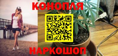 прущие грибы Анжеро-Судженск