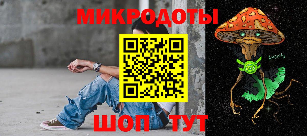 Псилоцибиновые грибы GOLDEN TEACHER Владимир